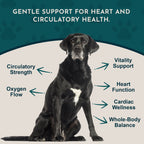 Herbal Pet Supplement product image 3