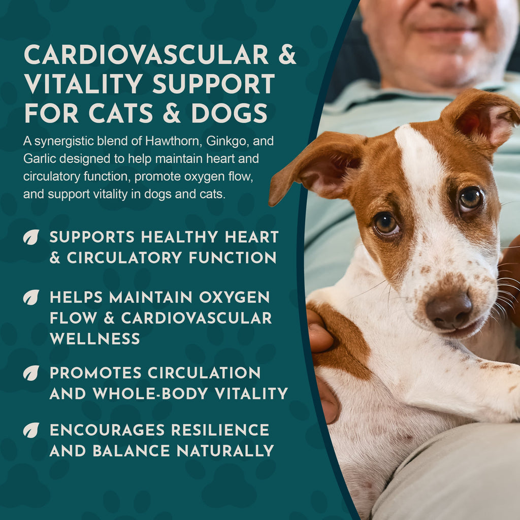 Herbal Pet Supplement product image 6