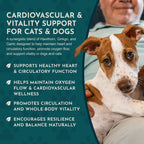 Herbal Pet Supplement product image 6