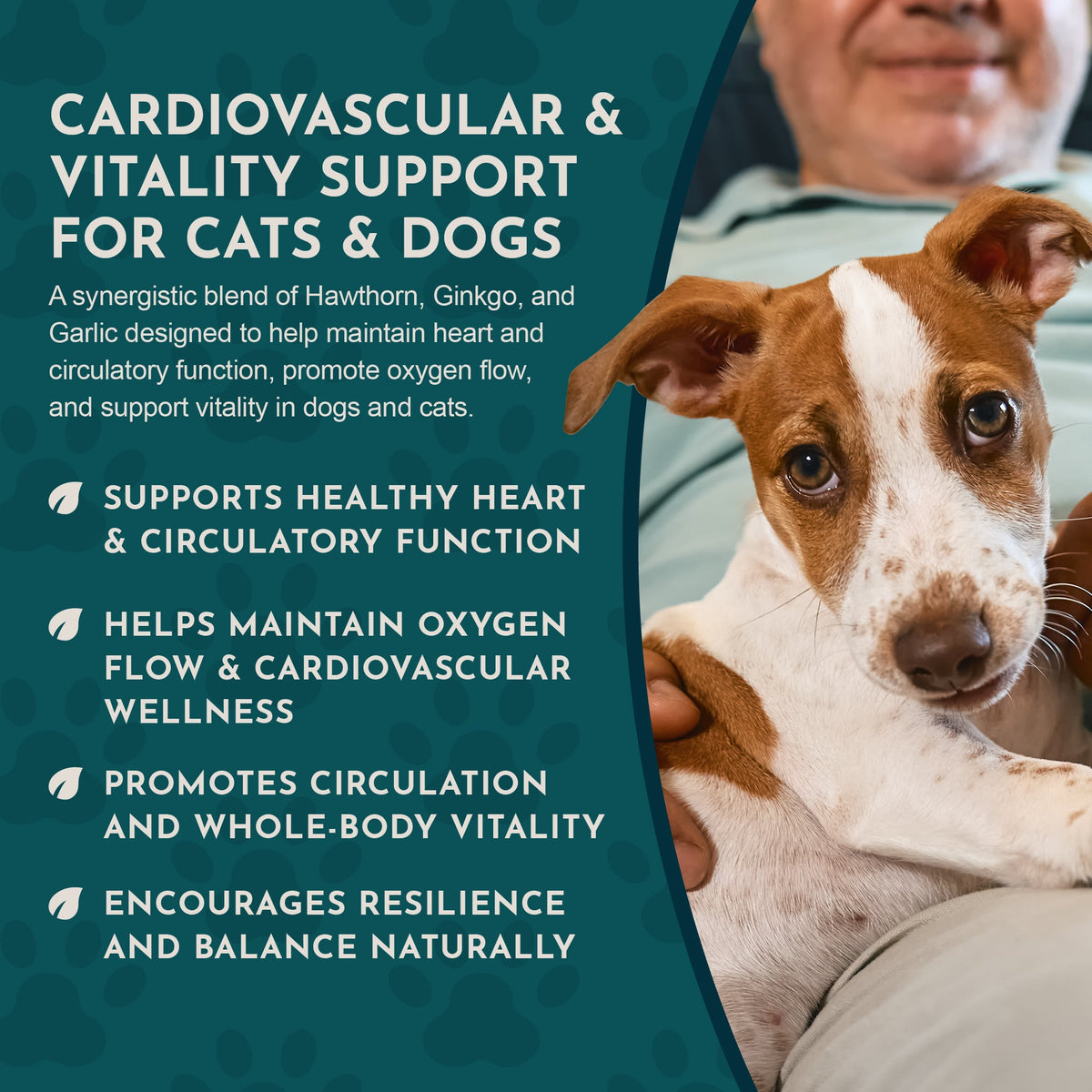 Herbal Pet Supplement product image 6