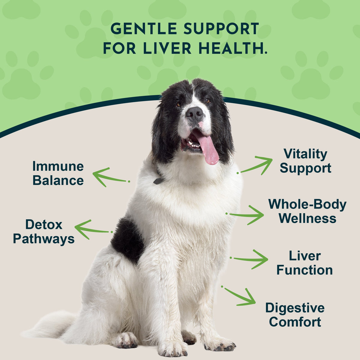 Pet Liver Supplement product image 3