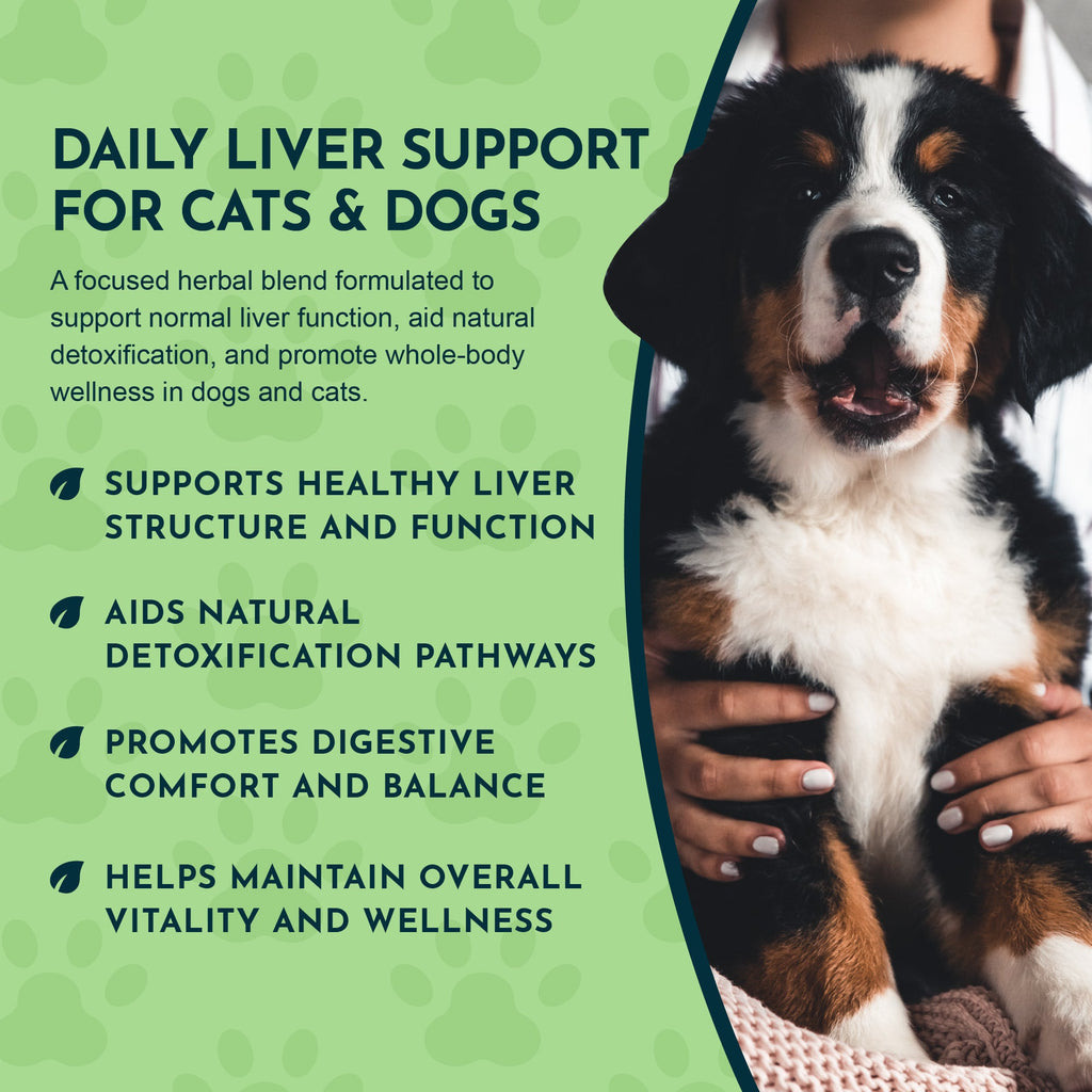 Pet Liver Supplement product image 6