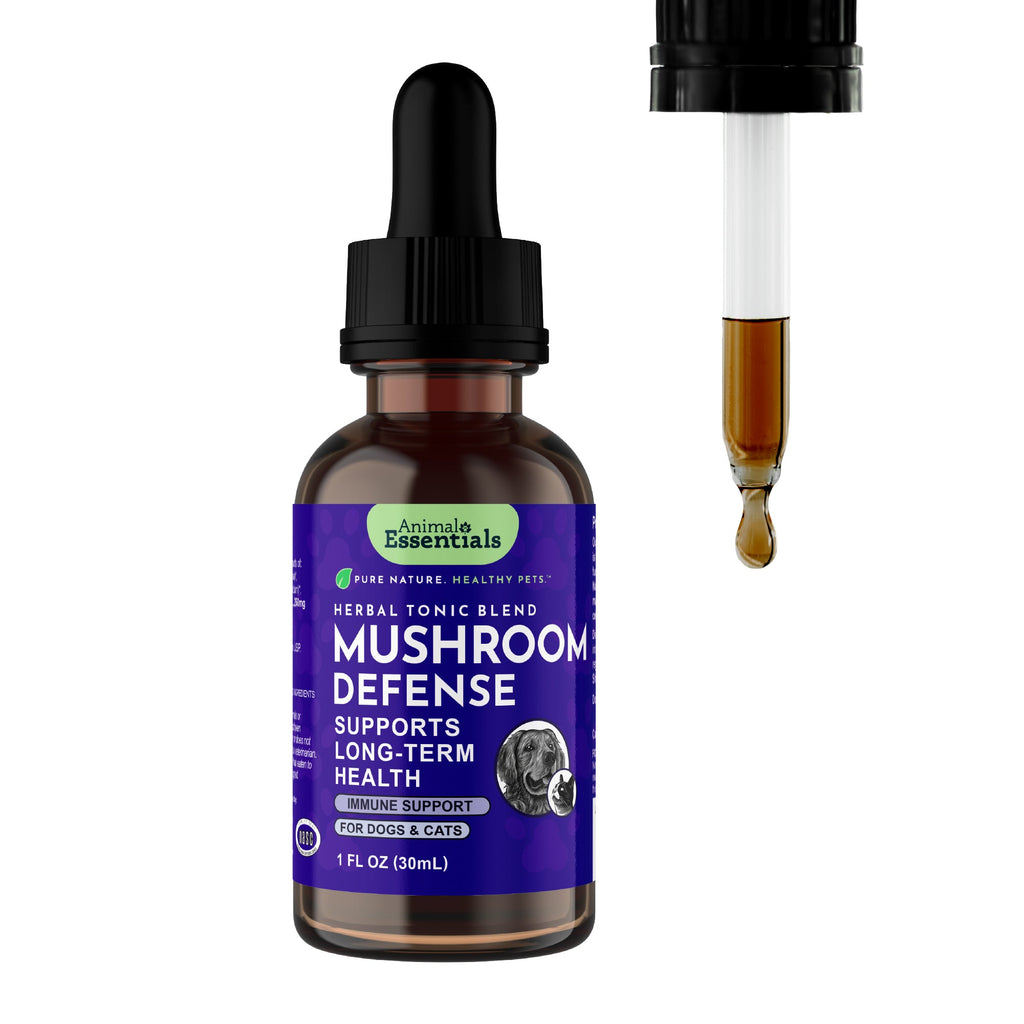Mushroom Tonic product image 1