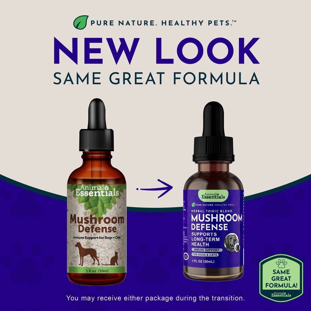 Mushroom Tonic product image 2