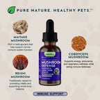 Mushroom Tonic product image 4