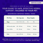 Mushroom Tonic product image 5