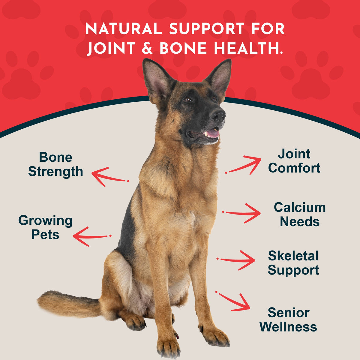Pet Calcium Supplement product image 3