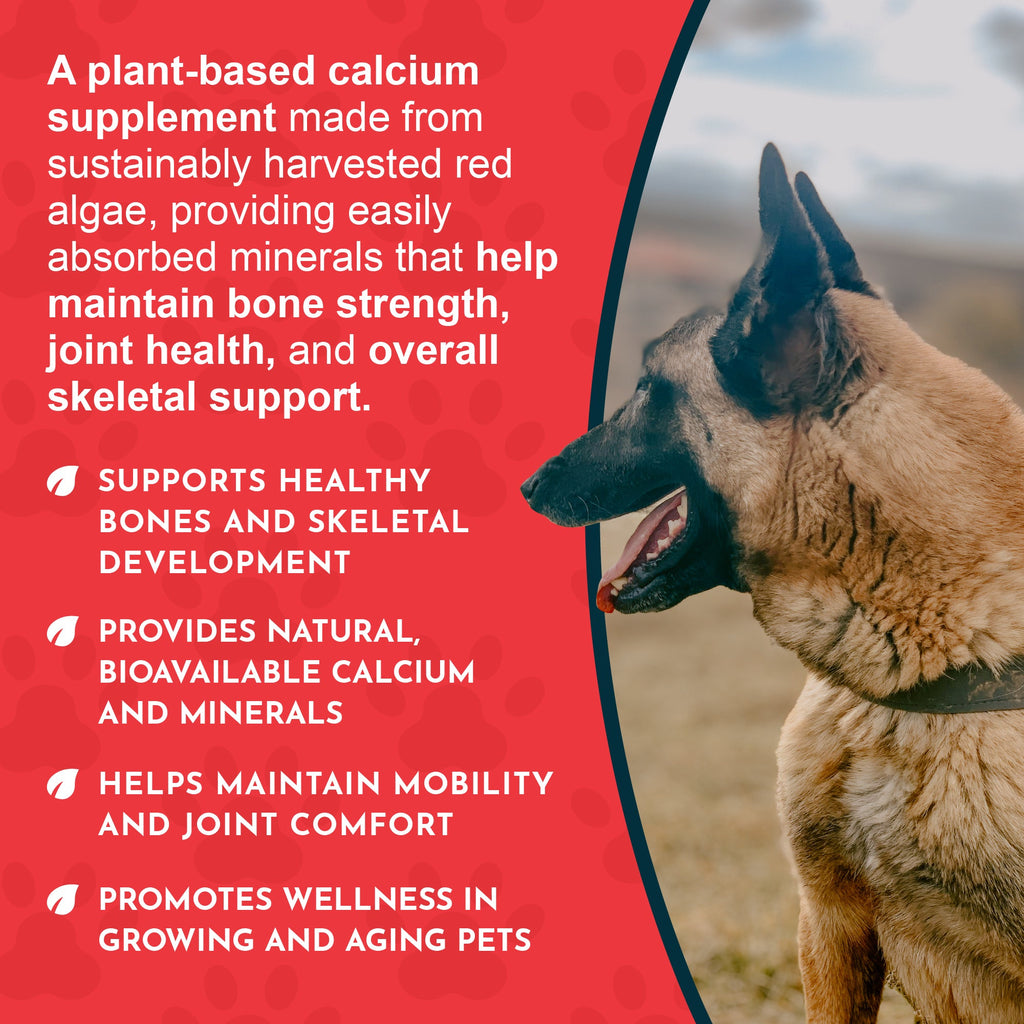 Pet Calcium Supplement product image 6