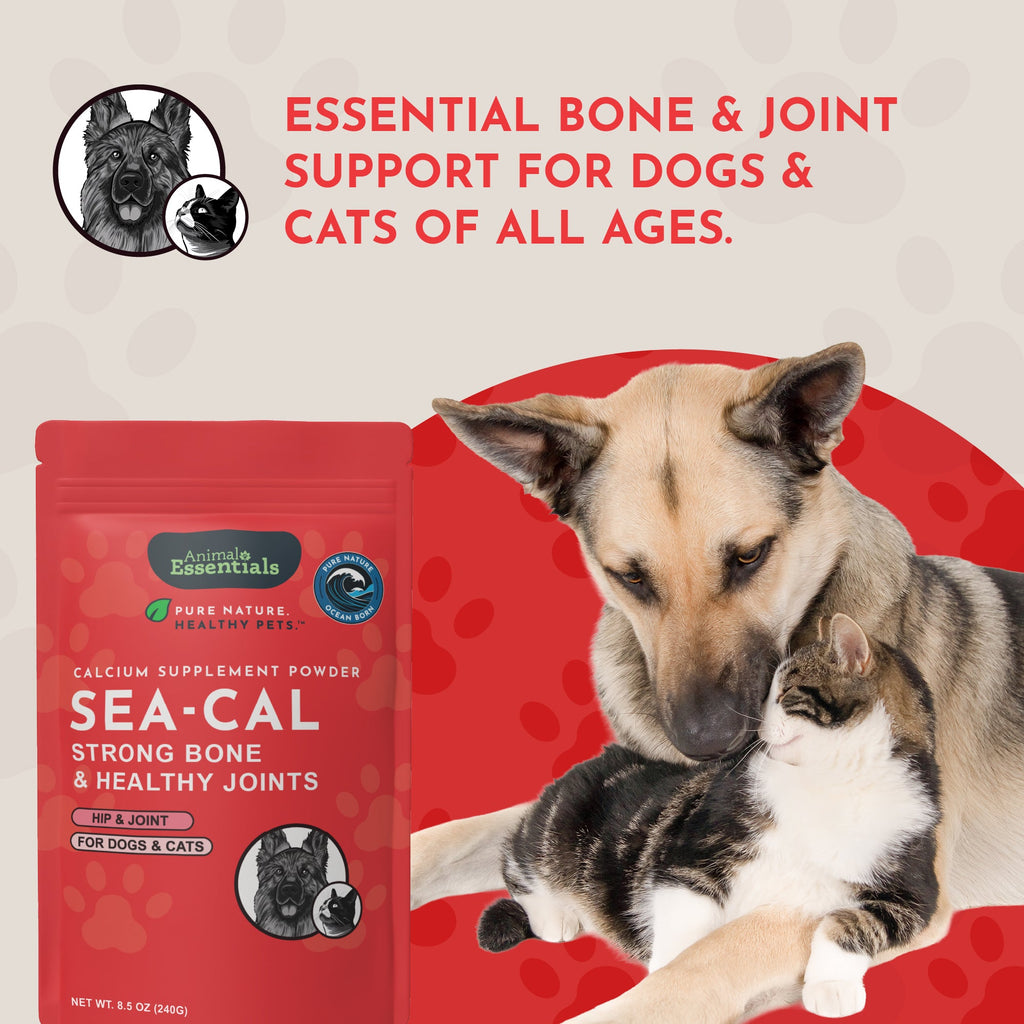 Pet Calcium Supplement product image 8