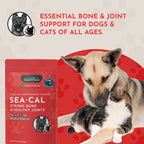 Pet Calcium Supplement product image 8
