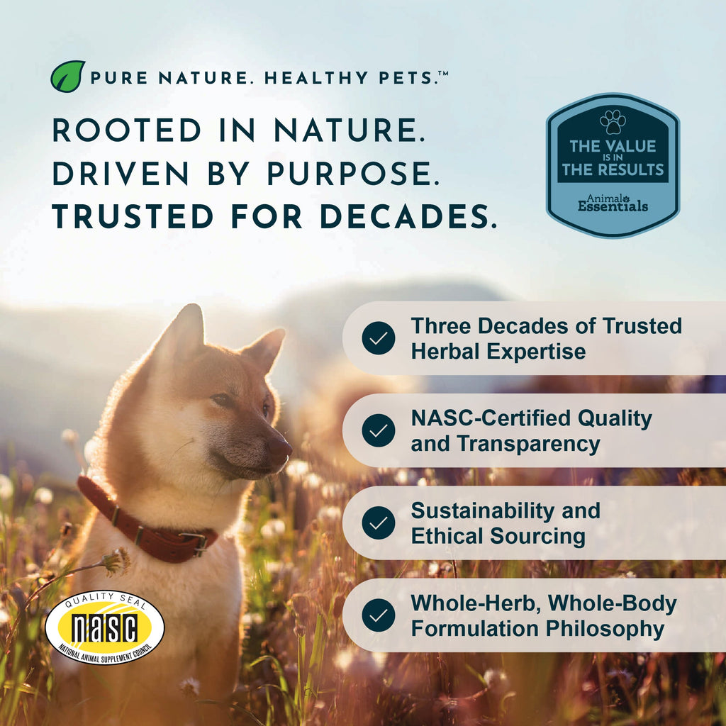 Pet Calcium Supplement product image 9