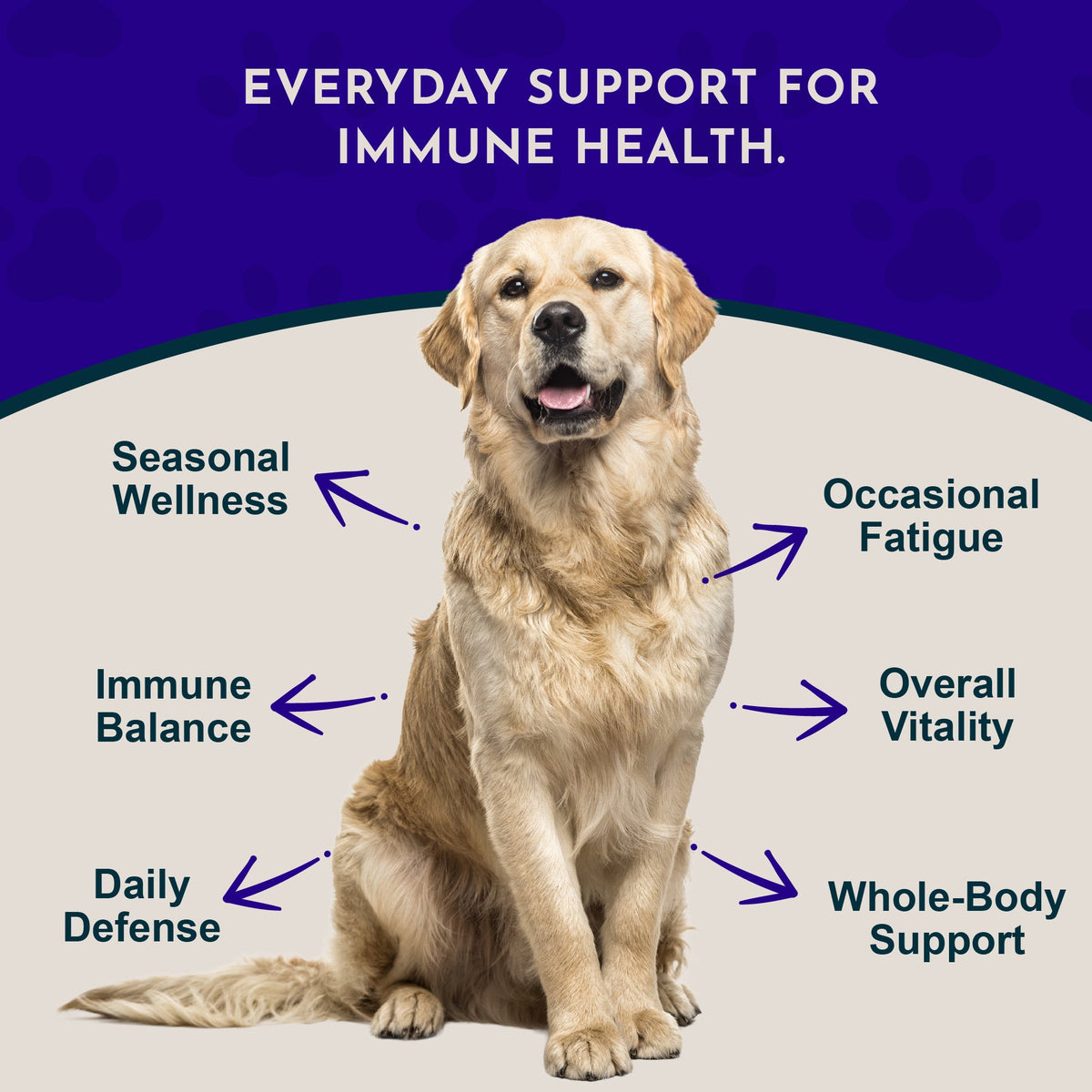 Herbal Immune Tonic product image 3