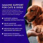 Herbal Immune Tonic product image 6
