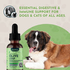 Olive Leaf Tonic product image 9
