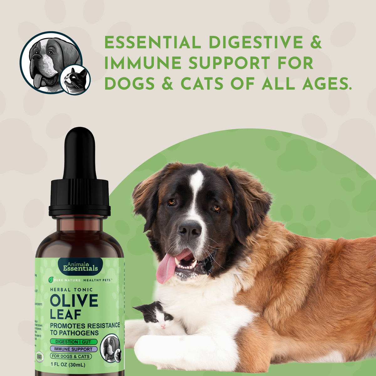 Olive Leaf Tonic product image 9