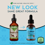 Slippery Elm Herbal Tonic product image 2