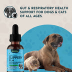 Slippery Elm Herbal Tonic product image 9