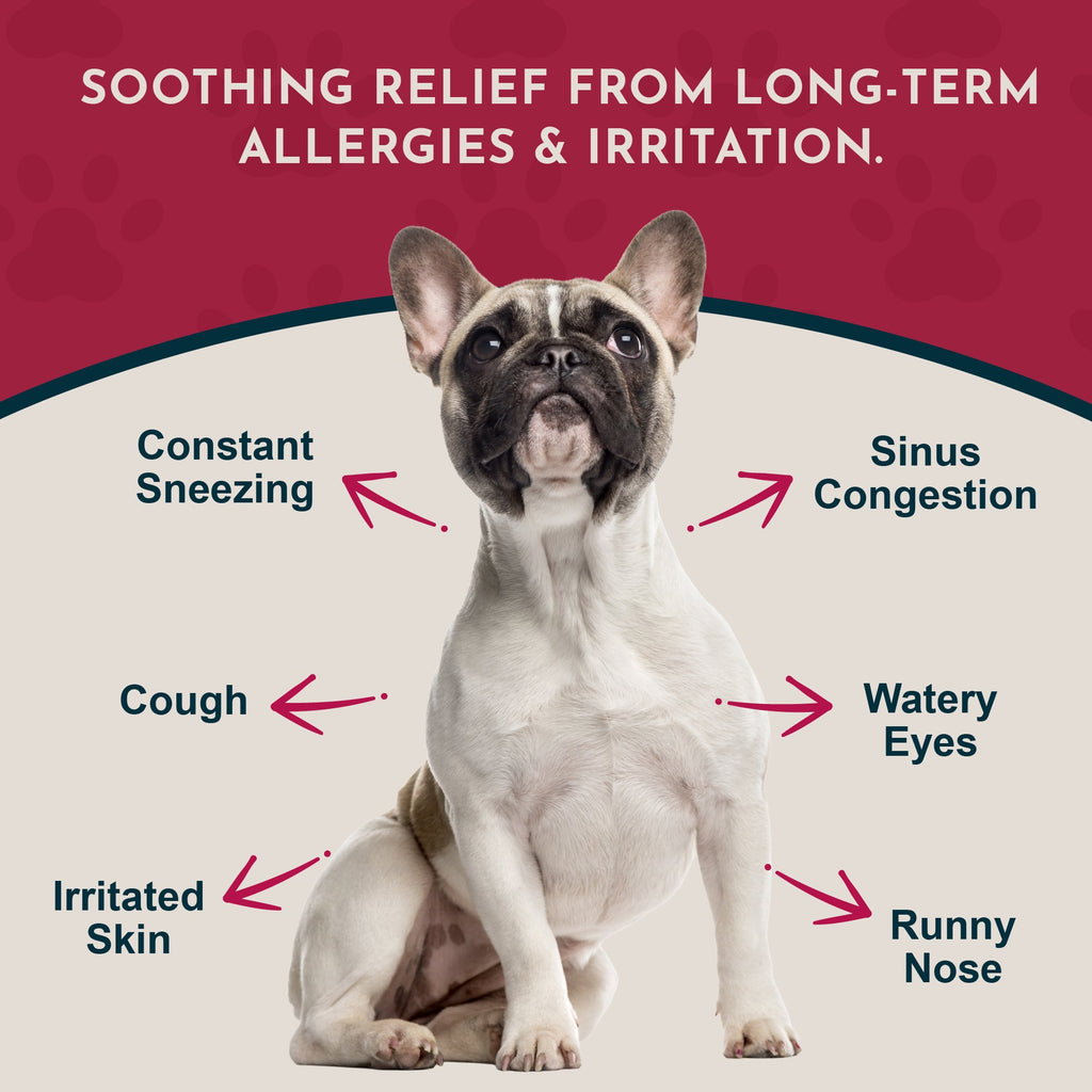 Pet Allergy Support Powder product image 4