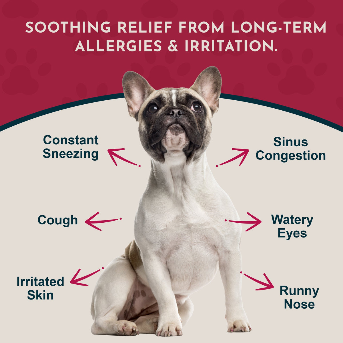 Pet Allergy Support Powder product image 4
