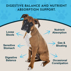 Digestive Supplement Powder product image 3