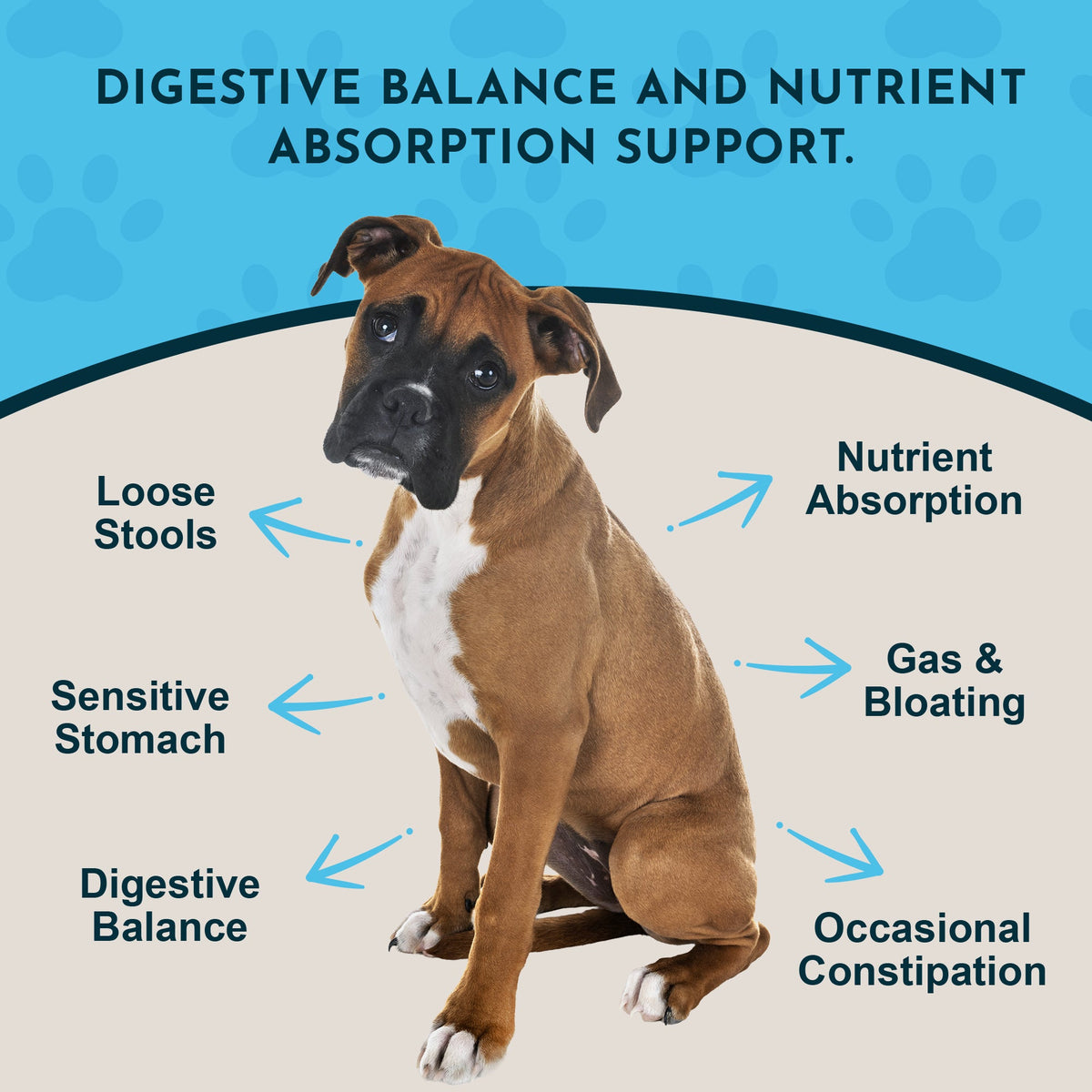 Digestive Supplement Powder product image 3