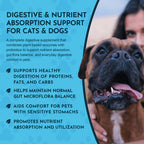 Digestive Supplement Powder product image 6