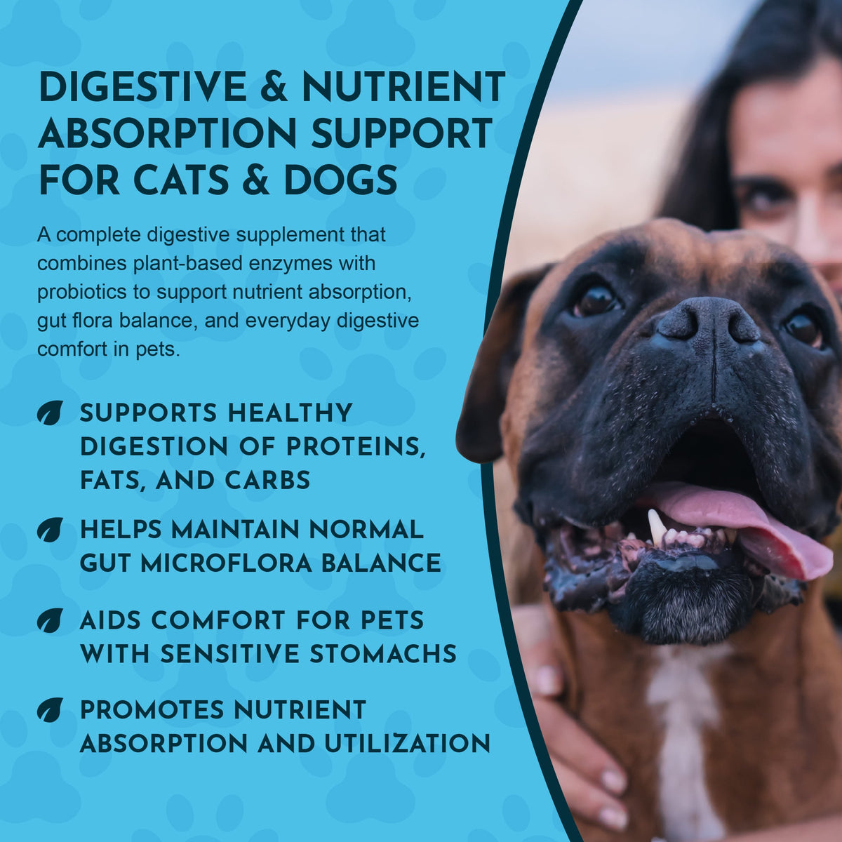 Digestive Supplement Powder product image 6