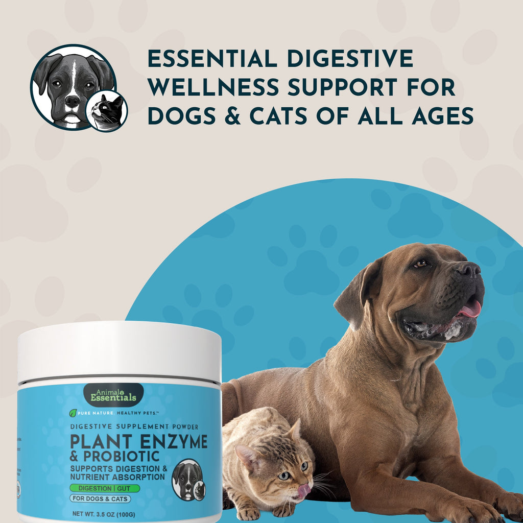 Digestive Supplement Powder product image 8