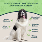 Dandelion Pet Tonic product image 3