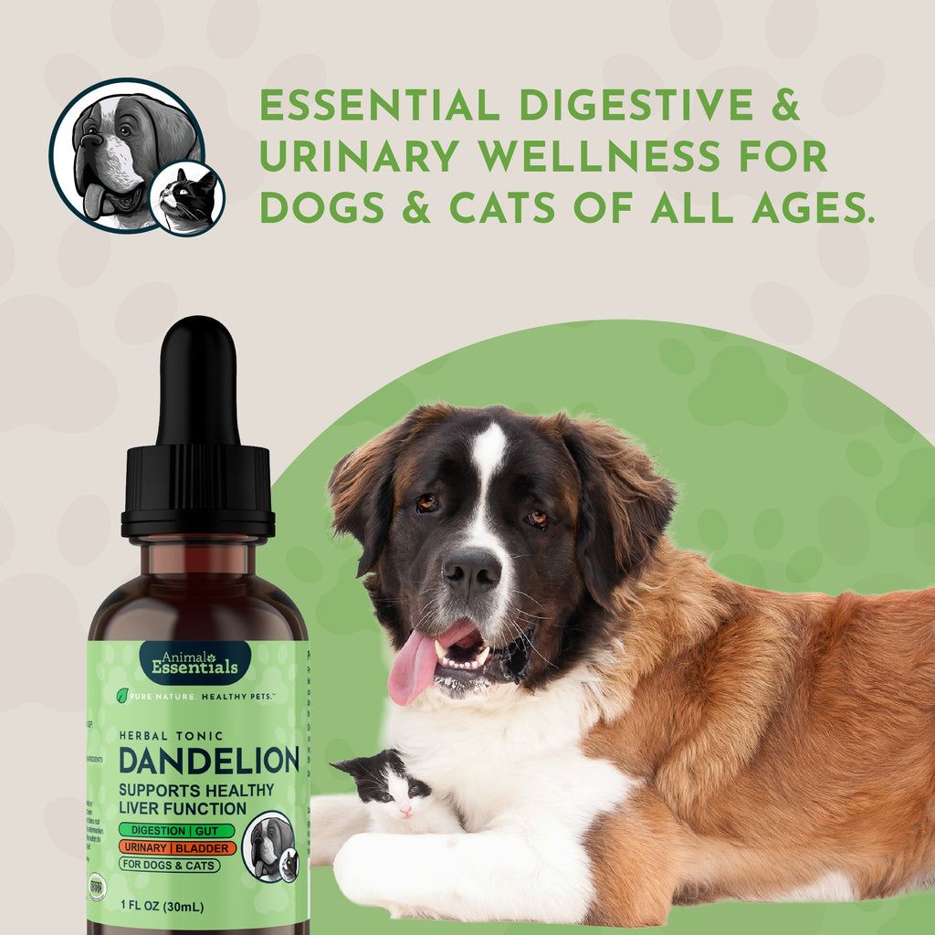 Dandelion Pet Tonic product image 8