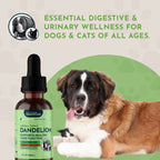 Dandelion Pet Tonic product image 8