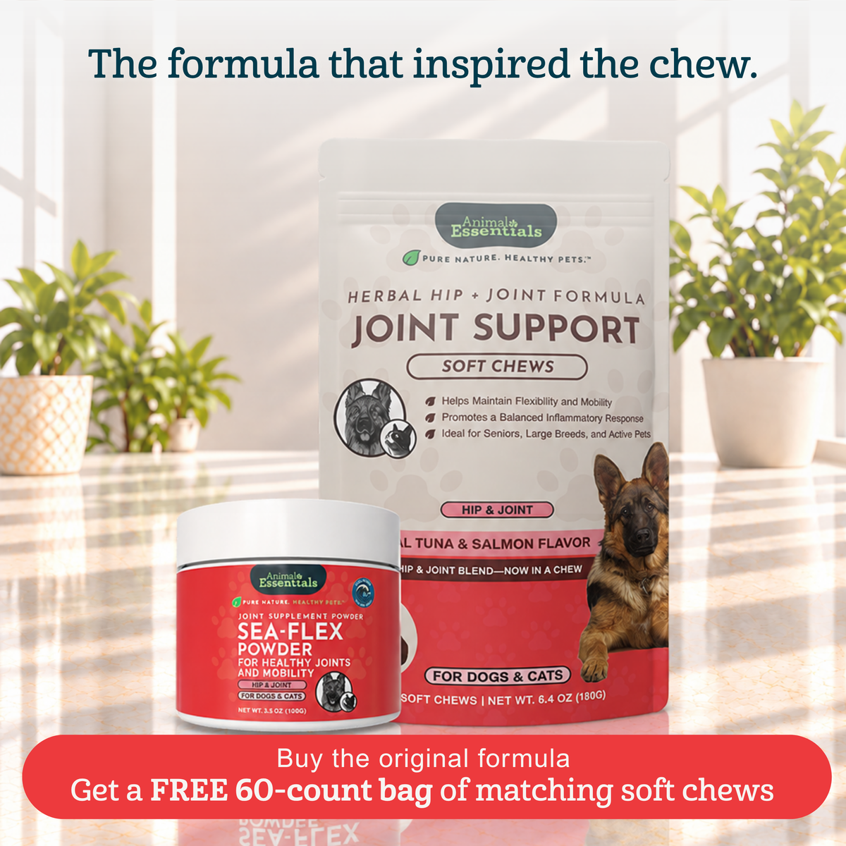 Joint Support Powder product image 2