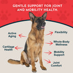 Joint Support Powder product image 4