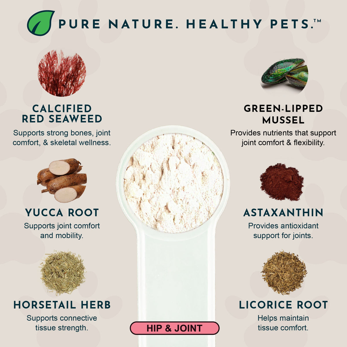 Joint Support Powder product image 5