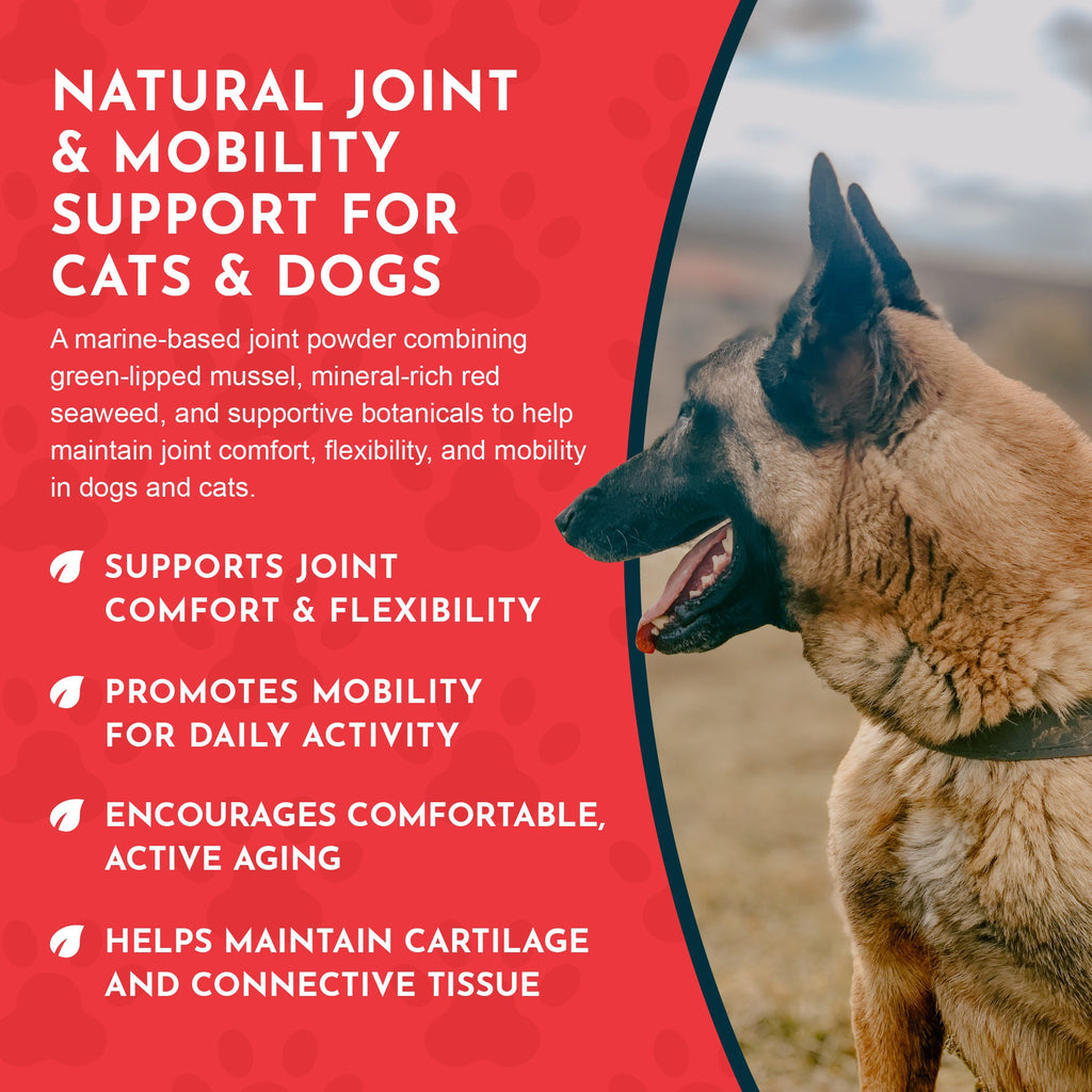 Joint Support Powder product image 6