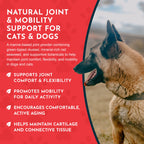 Joint Support Powder product image 6
