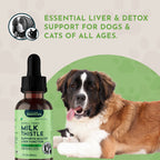 Milk Thistle Tonic product image 8