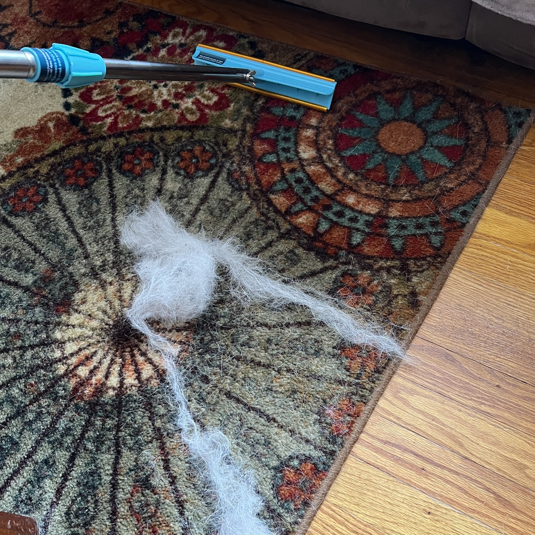 Pet Hair Remover product image 7