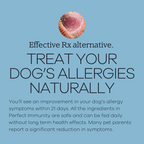 Dog Food product image 2