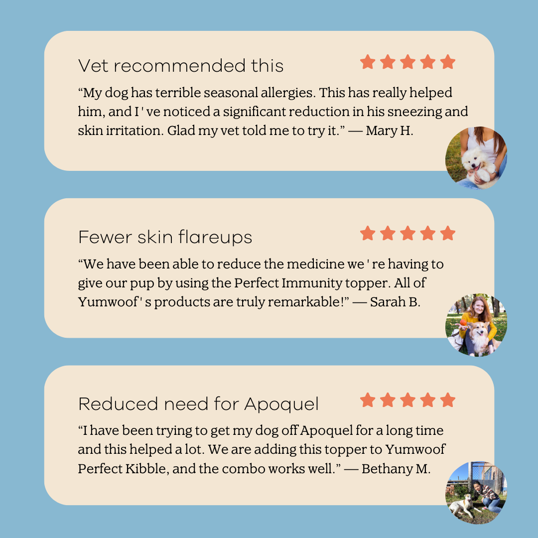 Dog Food product image 5
