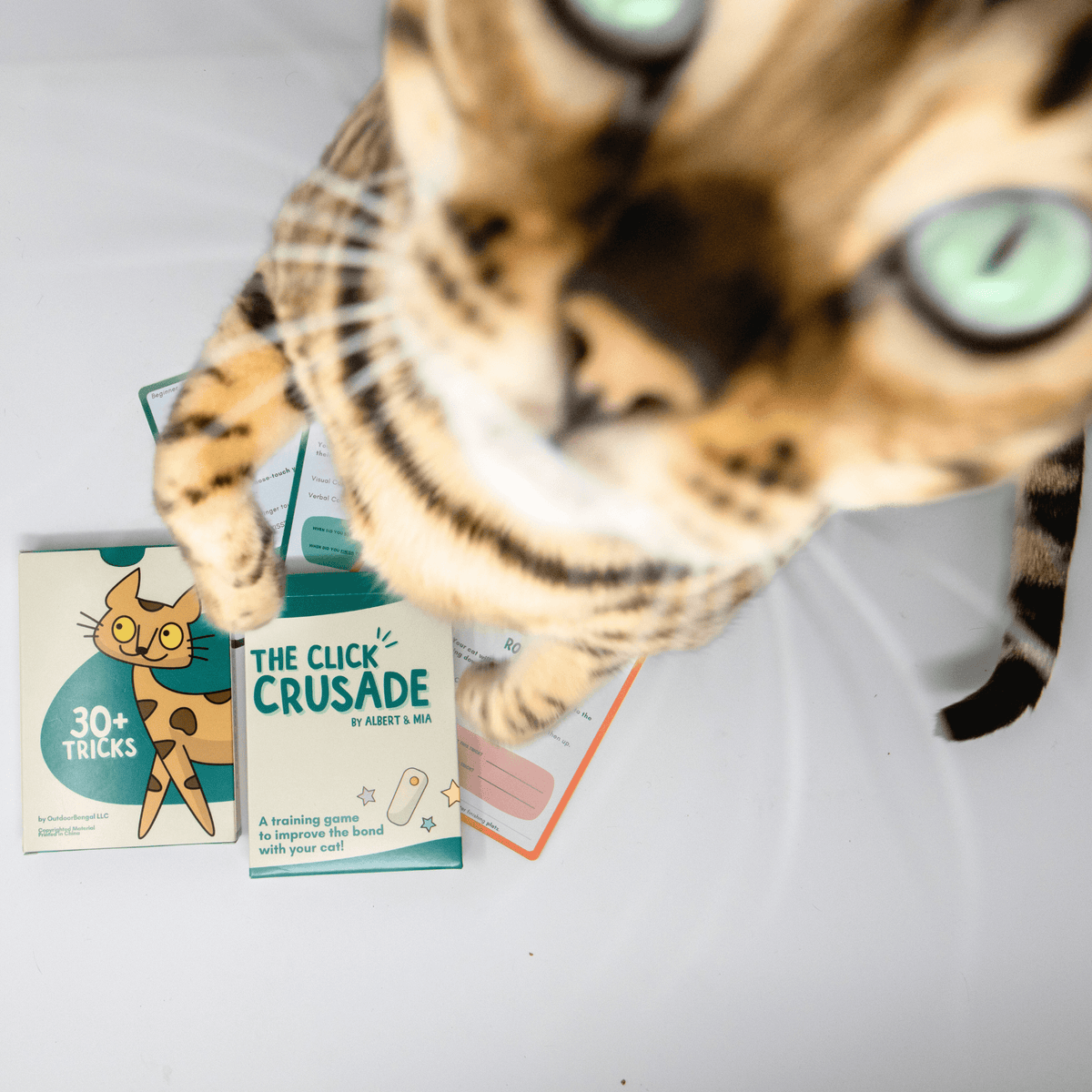 Cat Training Cards product image 3