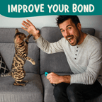 Cat Training Cards product image 5