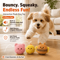 Squeaky Dog Ball Toy product image 1