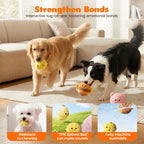Squeaky Dog Ball Toy product image 3