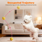 Squeaky Dog Ball Toy product image 4
