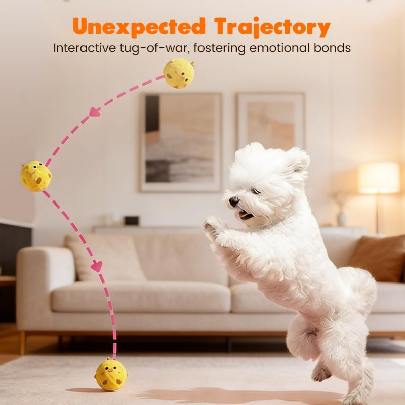 Squeaky Dog Ball Toy product image 4