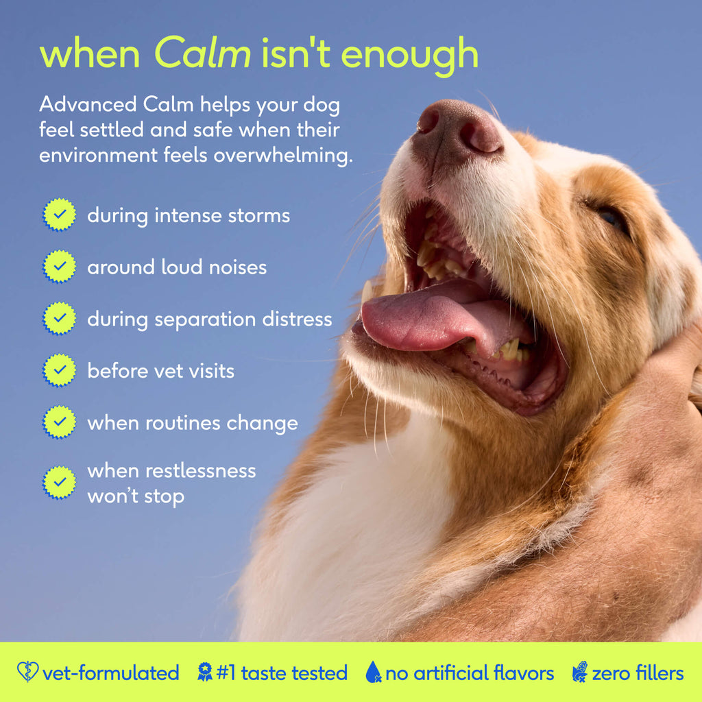 Dog Calming Chews product image 2