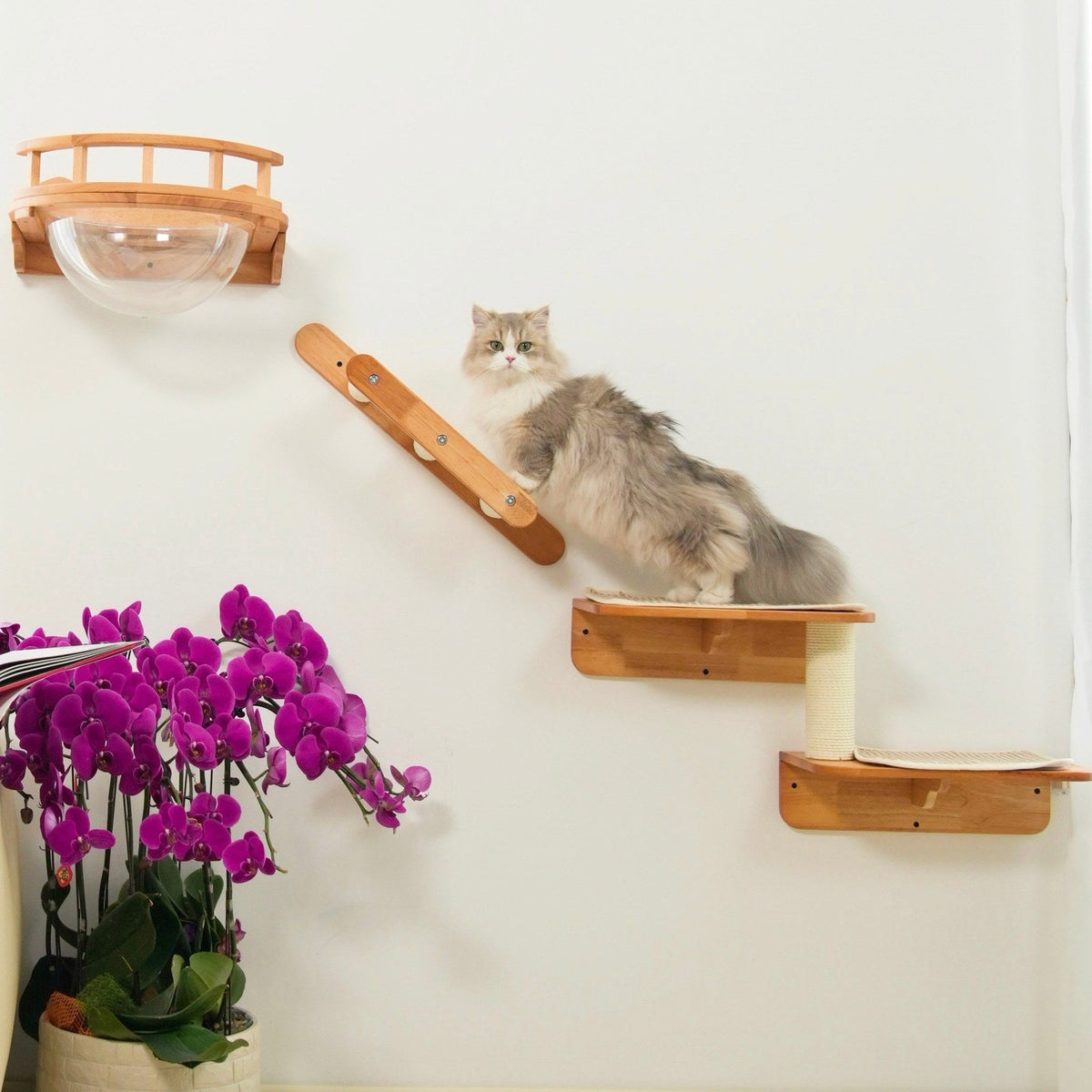 Wall-Mounted Cat Furniture Set product image 3