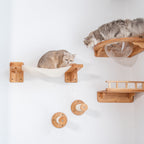Wall Mounted Cat Furniture product image 5