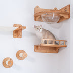 Wall Mounted Cat Furniture product image 6